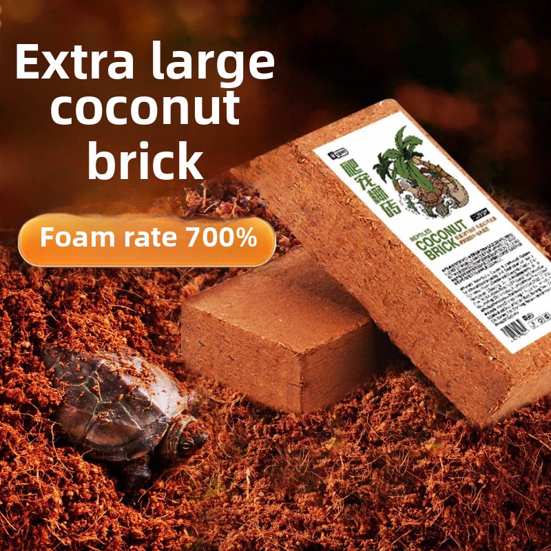 Sphagnum Moss Dry - Kit per l'ibernazione delle tartarughe YEE: