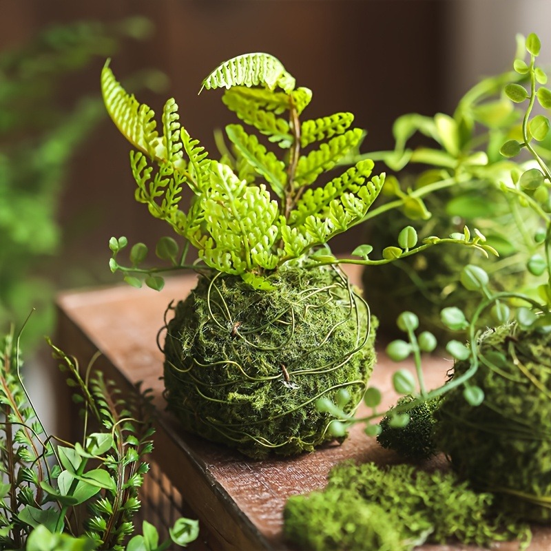 Vaso per muschio artificiale,  - Sphagnum Moss Dry recensione e prezzo
