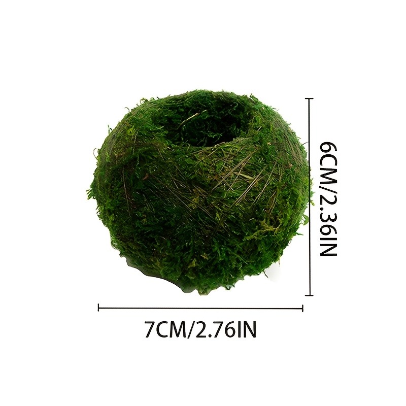 Vaso per muschio artificiale,  - Sphagnum Moss Dry recensione e prezzo