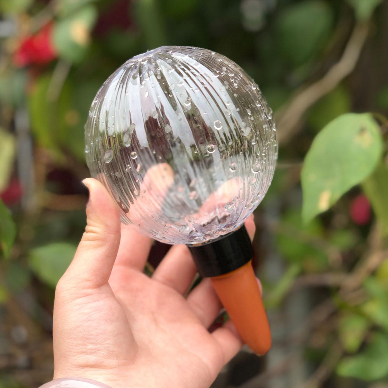 Inserto per Vaso Autoirrigante - Self Watering Insert recensione e prezzo