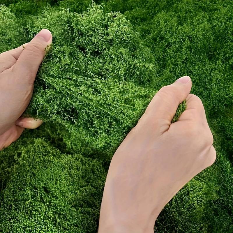Tappeto in finto muschio 20' x - Sphagnum Moss Dry recensione e prezzo