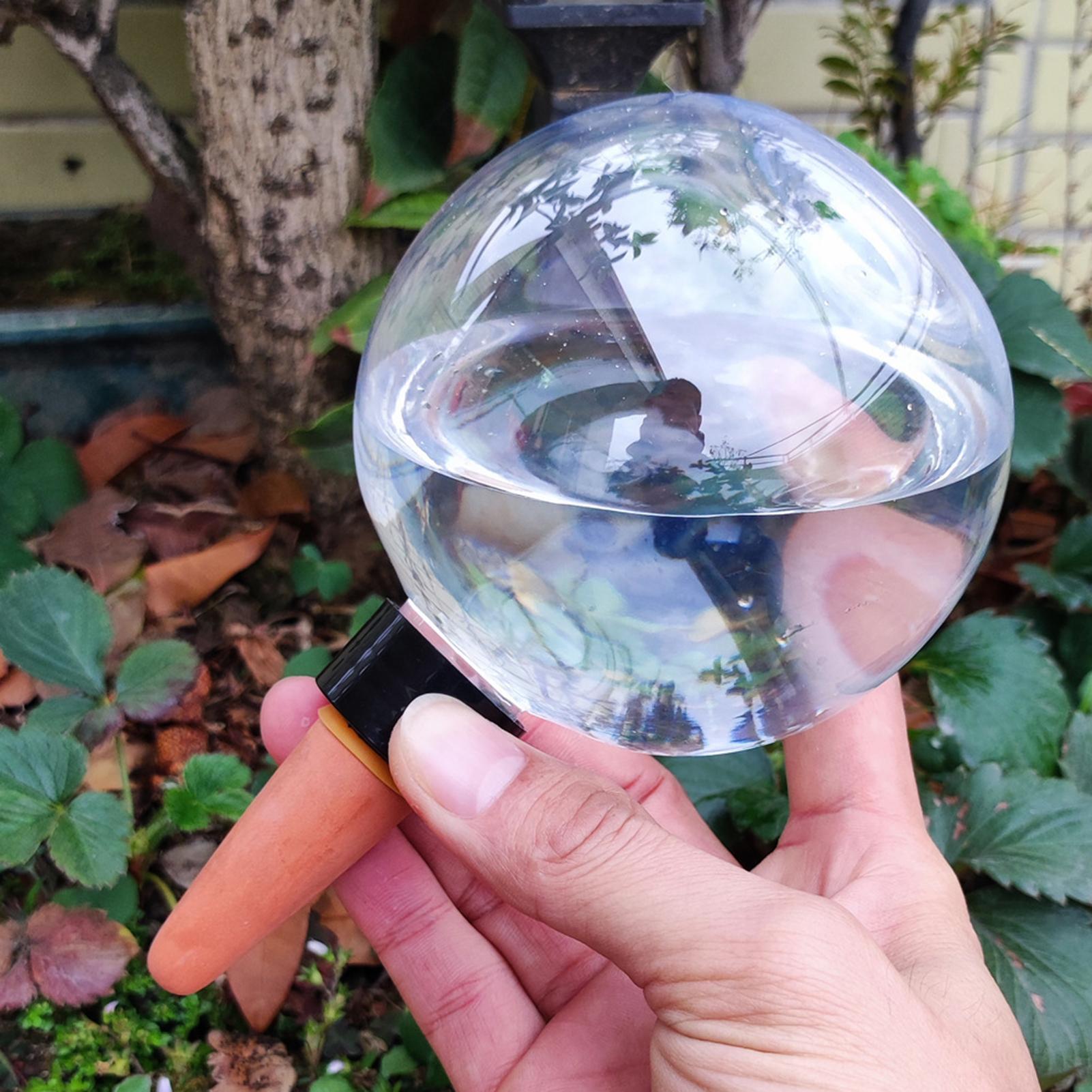 Globi di irrigazione automatic - Self Watering Insert recensione e prezzo
