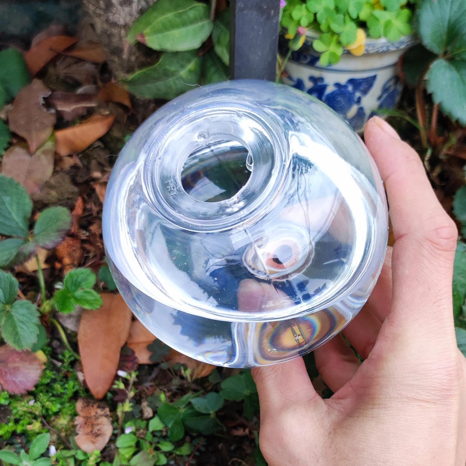 Globi di irrigazione automatic - Self Watering Insert recensione e prezzo