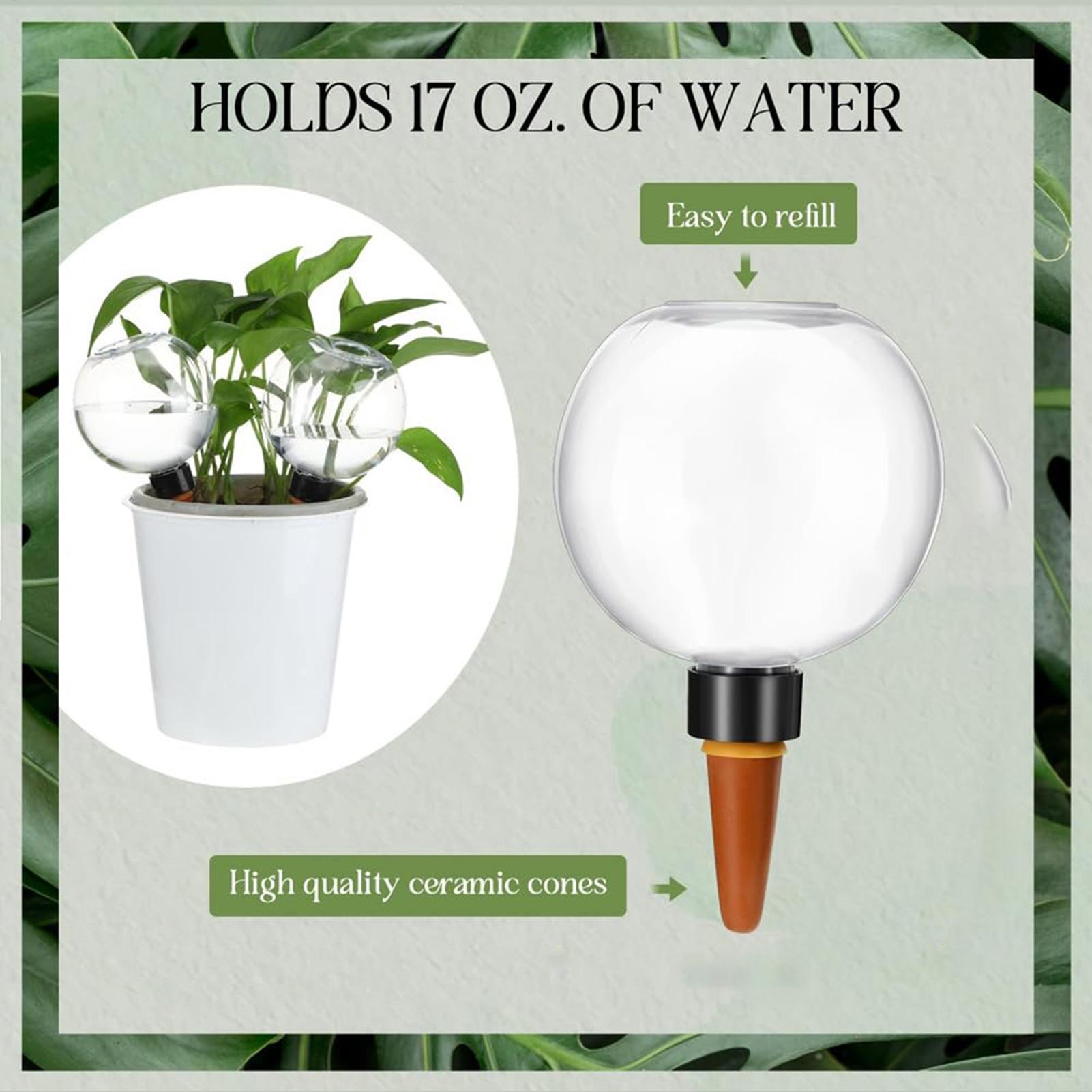 Globi di irrigazione automatic - Self Watering Insert recensione e prezzo
