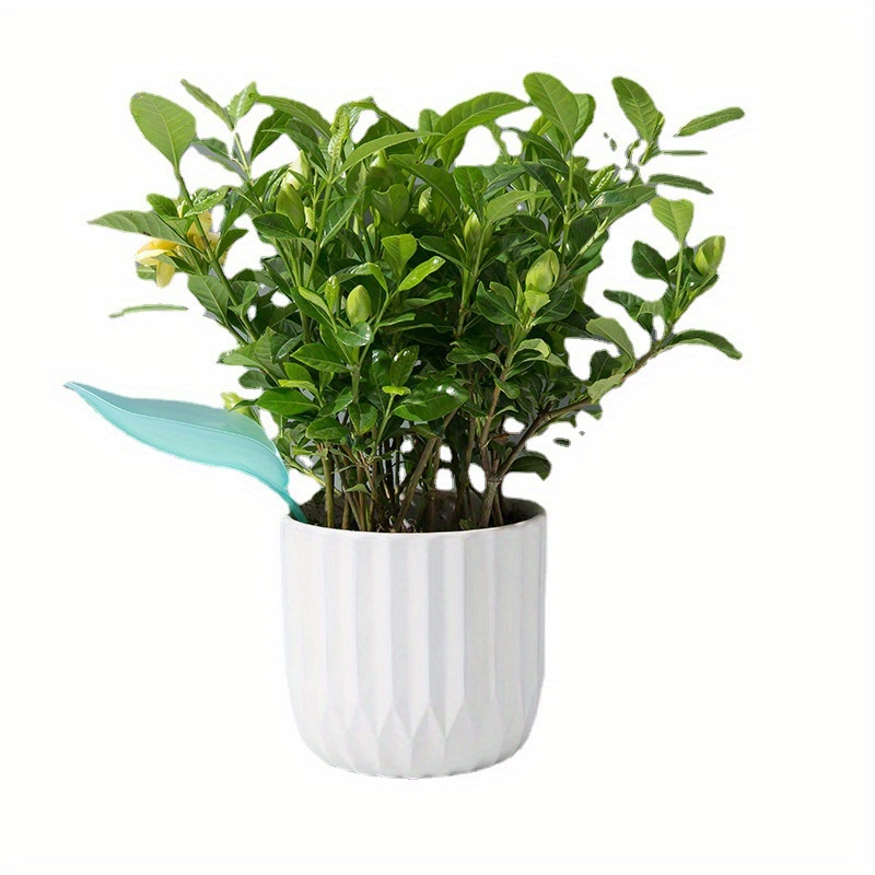 Imbuto Creativo per Irrigazion - Self Watering Insert recensione e prezzo
