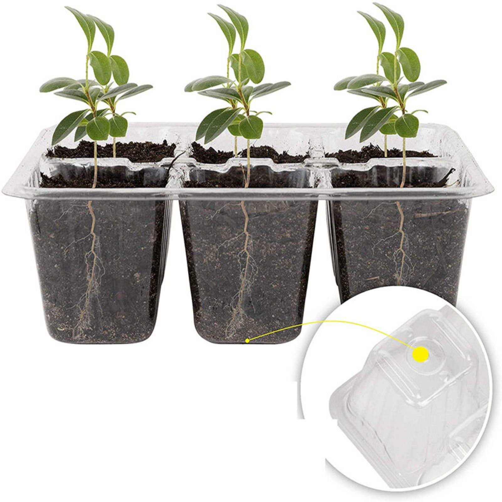 Vassoio per Germinazione a 12  - Humidity Dome Kit recensione e prezzo