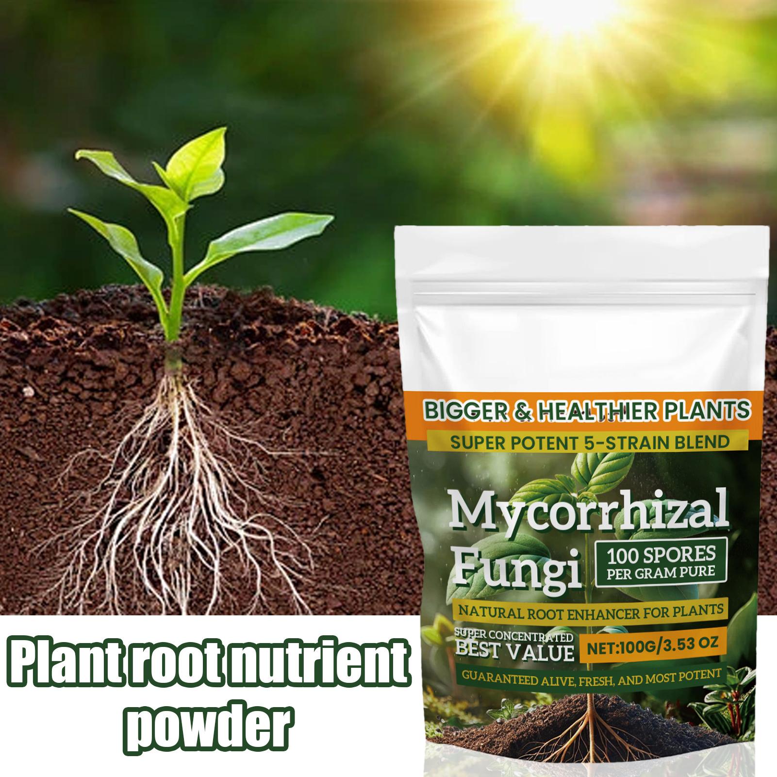 Nuova Polvere Nutriente per Pi - Rooting Hormone Powder recensione e prezzo
