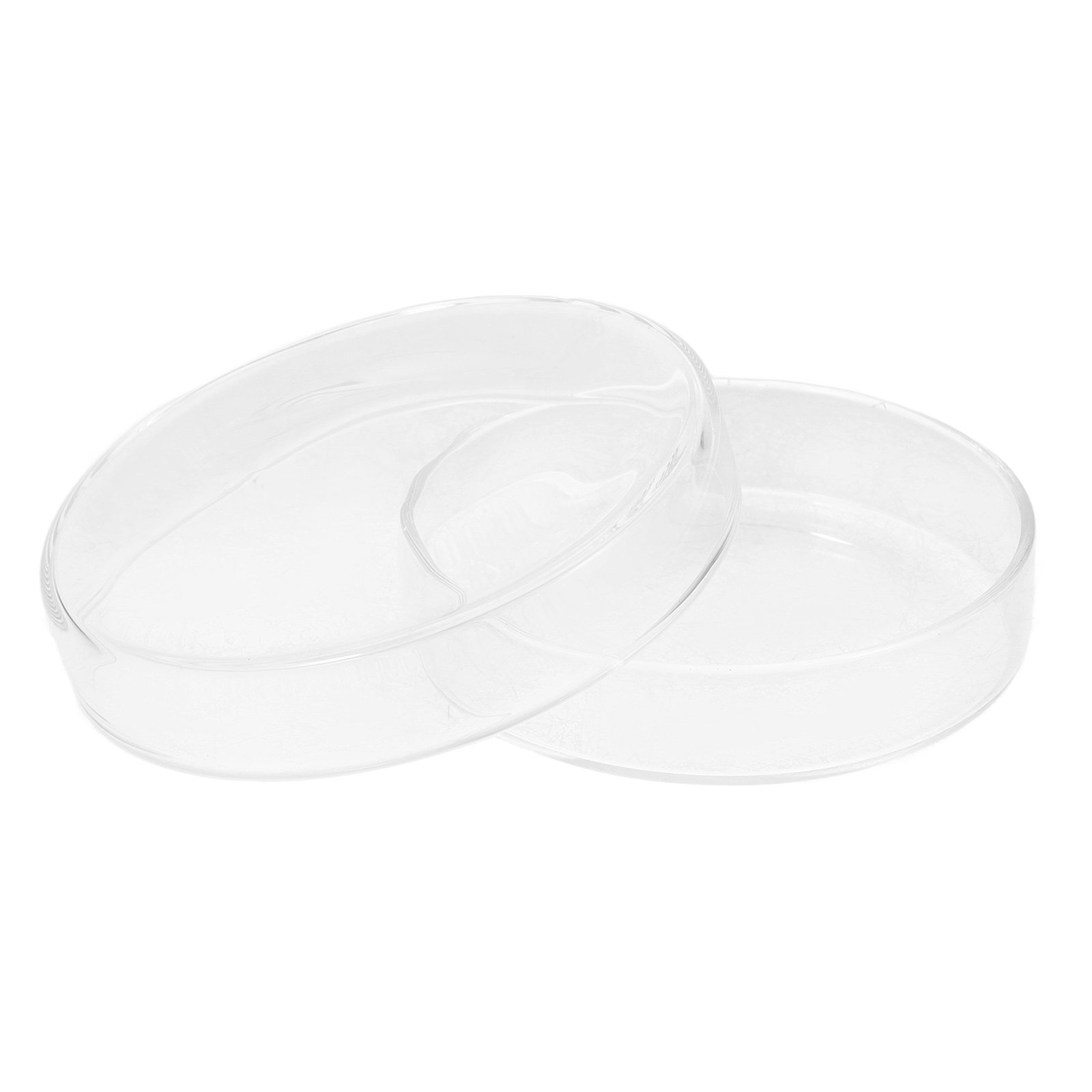 Piastra di Petri in Vetro Boro - Agar Tissue Culture recensione e prezzo