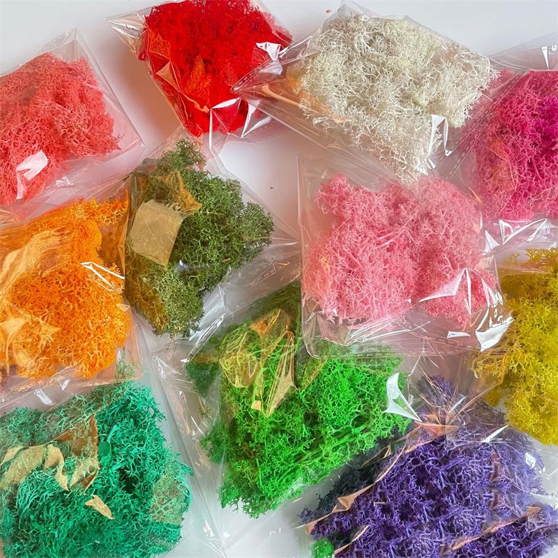 20-200g Piante verdi artificia - Sphagnum Moss Dry recensione e prezzo