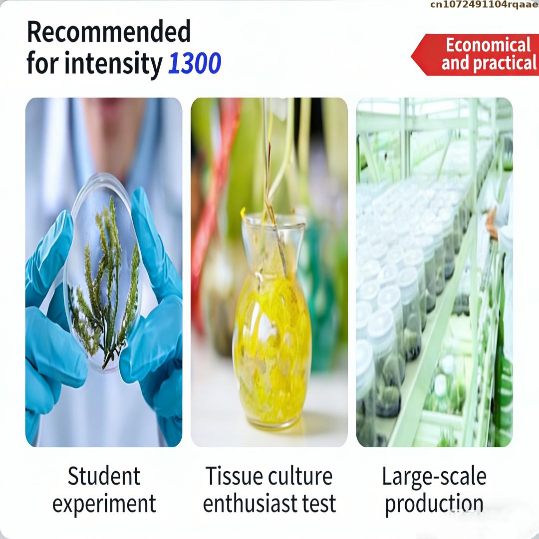 Agar in polvere per colture di - Agar Tissue Culture recensione e prezzo