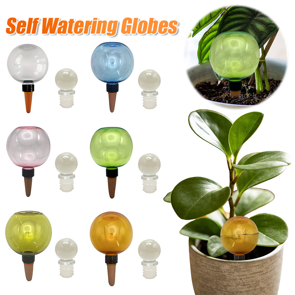 Inserto per Vaso Autoirrigante - Self Watering Insert recensione e prezzo