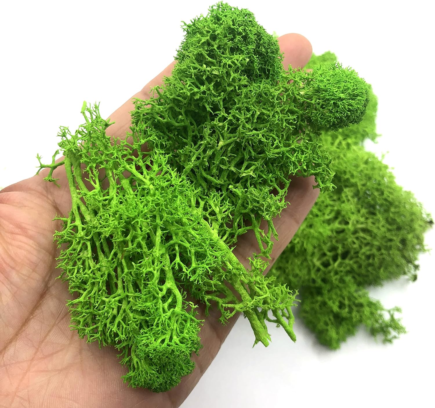 200g Piante verdi artificiali  - Sphagnum Moss Dry recensione e prezzo