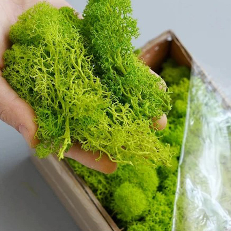 200g Piante verdi artificiali  - Sphagnum Moss Dry recensione e prezzo
