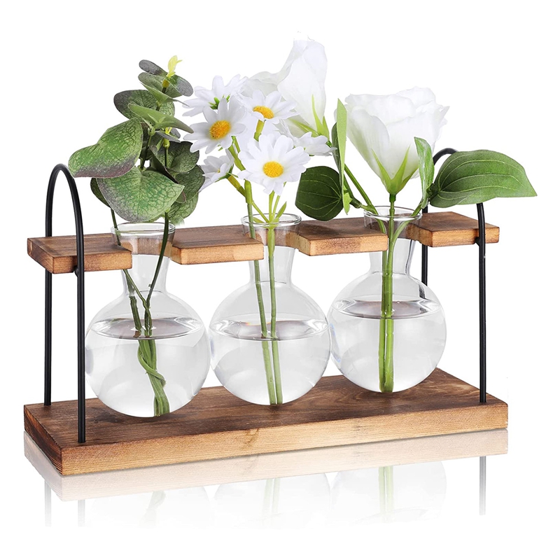 Stazione di Propagazione Piant - Propagation Station Vase recensione e prezzo