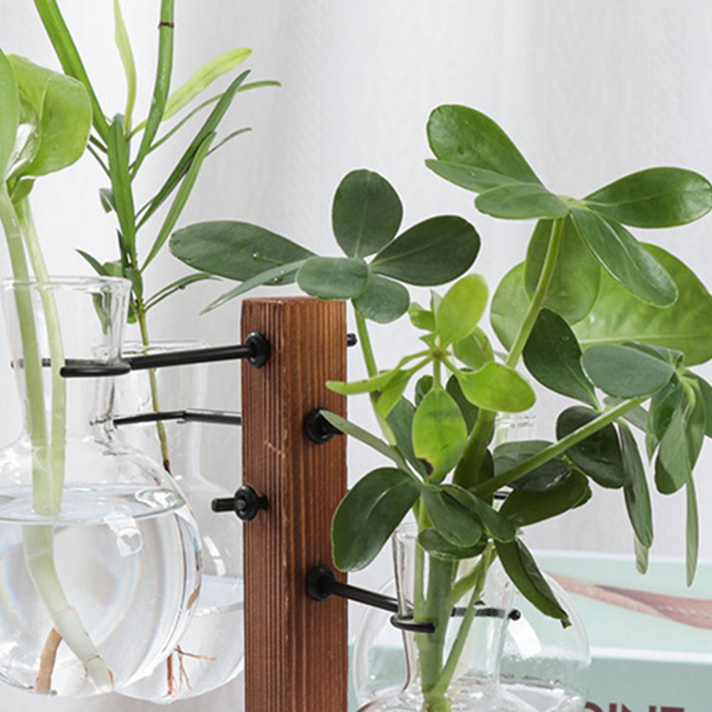 1 Set 10*25 cm Piante Stazione - Propagation Station Vase recensione e prezzo