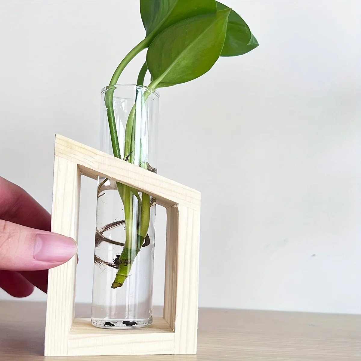 Provetta Vaso di vetro Stazion - Propagation Station Vase recensione e prezzo