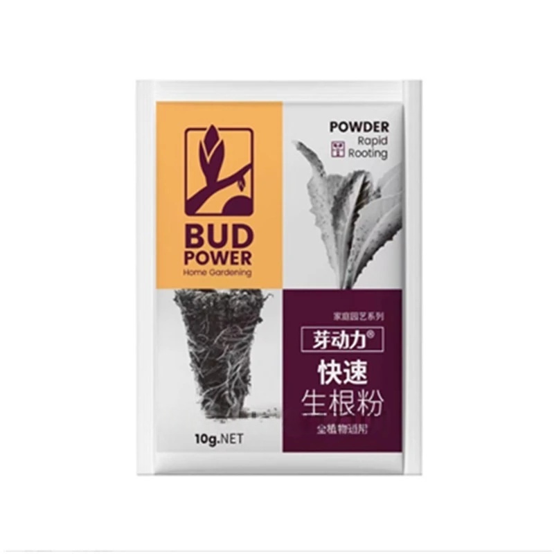 2 sacchetti di ormone radicola - Rooting Hormone Powder recensione e prezzo