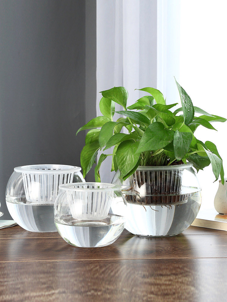 Vaso in vetro idroponico per a - Propagation Station Vase recensione e prezzo